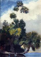 Homer, Winslow - Palm Trees, Florida